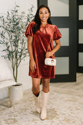 Damsel in This Velvet Dress